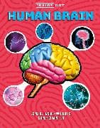 Inside Out Human Brain