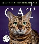 Cat Page-A-Day Gallery Calendar 2024