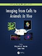 Imaging from Cells to Animals In Vivo