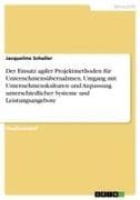 Der Einsatz agiler Projektmethoden für Unternehmensübernahmen. Umgang mit Unternehmenskulturen und Anpassung unterschiedlicher Systeme und Leistungsangebote