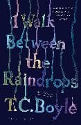 I Walk Between the Raindrops