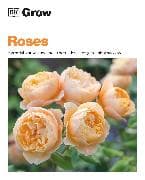 Grow Roses