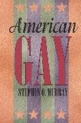 American Gay