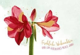Doppelkarte. Green Karma X-MAS - Rote Amaryllis