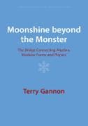 Moonshine beyond the Monster