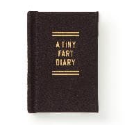 A Tiny Fart Diary