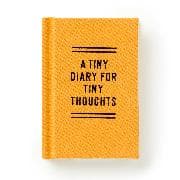A Tiny Diary for Tiny Thoughts