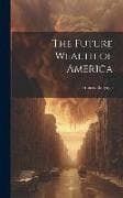 The Future Wealth of America