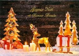 Carte double. Joyeux Noël et Bonne Année