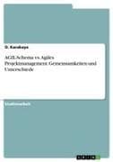 AGIL-Schema vs. Agiles Projektmanagement. Gemeinsamkeiten und Unterschiede