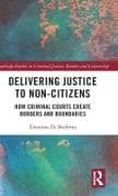 Delivering Justice to Non-Citizens