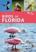 Birds of Florida