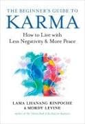 The Beginner's Guide to Karma