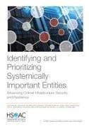 Identifying and Prioritizing Systemically Important Entities