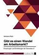 Gibt es einen Wandel am Arbeitsmarkt? Erwartungen und Einstellungen der Generation Z