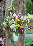 Postkarte / Frühlingsblüten / blanko / hoch