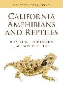California Amphibians and Reptiles