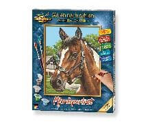 Malen nach Zahlen - Pferdeportrait