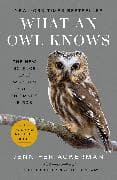 What an Owl Knows
