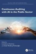Continuous Auditing with AI in the Public Sector