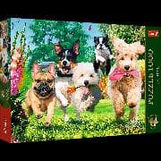 Puzzle Premium Plus 1000 - Hunde