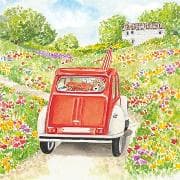 Postkarte / Auto in sommerlicher Landschaft / blanko
