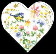 Minikarten / Blumen und Blaumeise / Herzformat / blanko