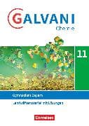Galvani - Chemie für Gymnasien - Ausgabe B - Sekundarstufe II - Bayern Neubearbeitung - 11. Jahrgangsstufe