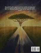 Pivotal Road Life Skills For Teens Start Your Journey