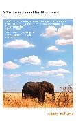 A Training School for Elephants