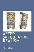 After Speculative Realism