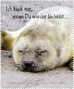 Brillenputztuch / Ich kuck nur wenn du wieder lächelst