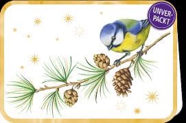 Doppelkarte. Simply Gold X-Mas / Blaumeise / blanko