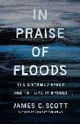 In Praise of Floods