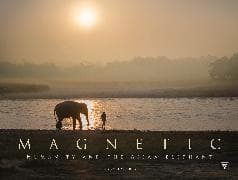 Magnetic
