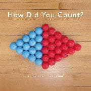 How Did You Count?