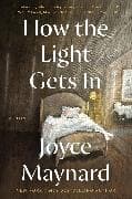 How the Light Gets In