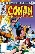 Conan The Barbarian: The Original Comics Omnibus Vol.6