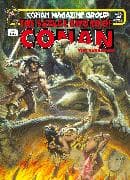 The Savage Sword Of Conan: The Original Comics Omnibus Vol.6