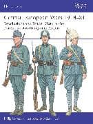 Central European Wars 1918–21