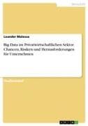 Big Data im Privatwirtschaftlichen Sektor. Chancen, Risiken und Herausforderungen für Unternehmen