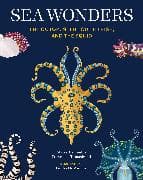 Sea Wonders