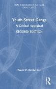 Youth Street Gangs
