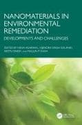 Nanomaterials in Environmental Remediation