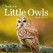 Audubon Little Owls Mini Wall Calendar 2026
