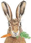 Postkarte / Hase mit Karotte / Hoch / blanko
