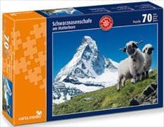 Schwarznasenschafe am Matterhorn