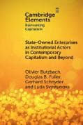 State-Owned Enterprises as Institutional Actors in Contemporary Capitalism and Beyond