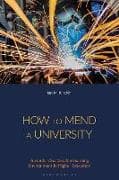 How to Mend a University