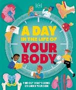 A Day in the Life of Your Body